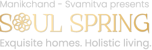svamitva soulspring